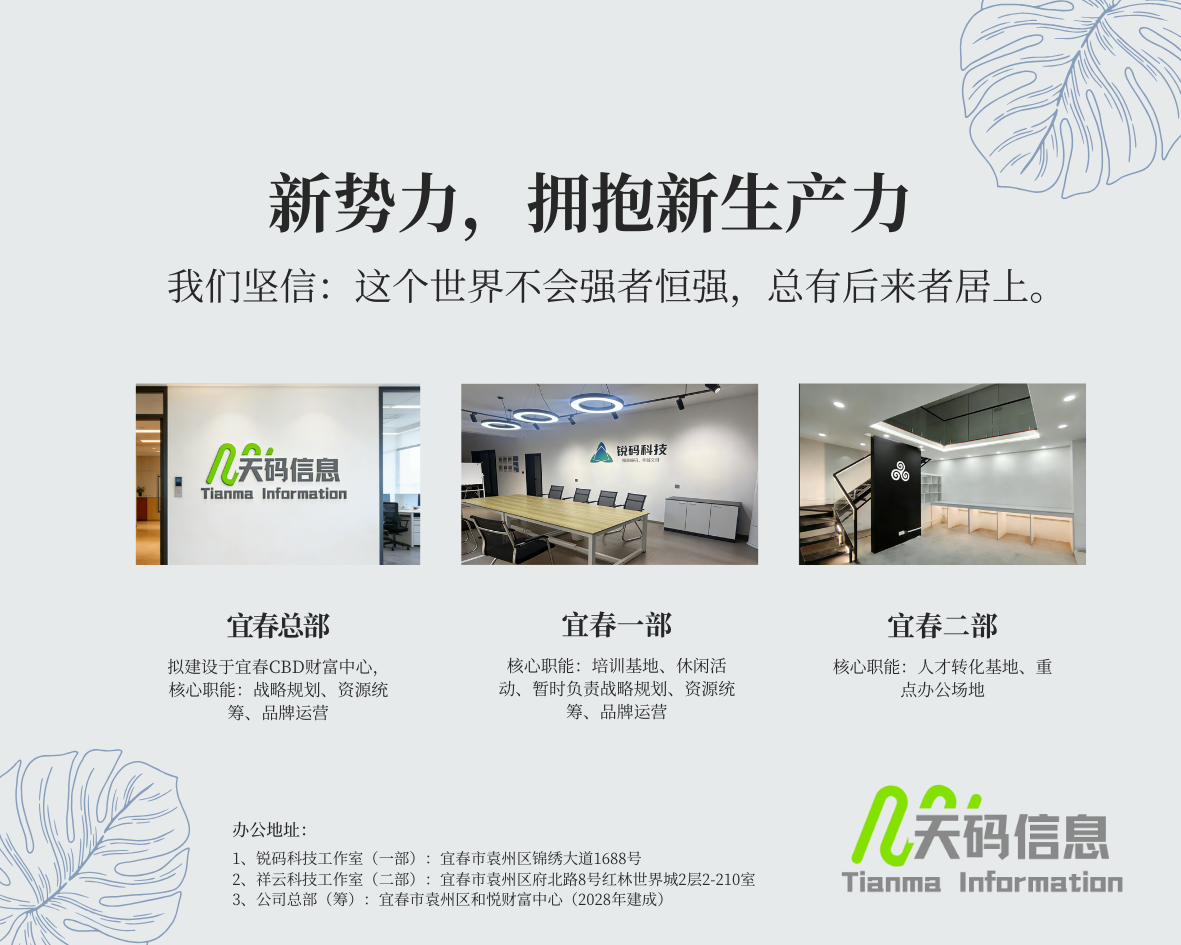 天码信息进阶工程师成长路径